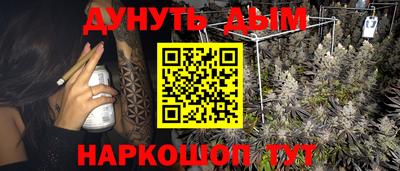 прущие грибы Севастополь