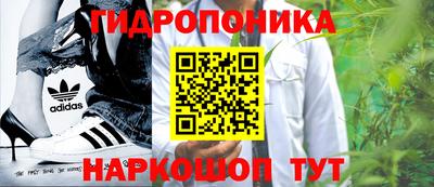 прущие грибы Севастополь