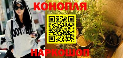 прущие грибы Севастополь