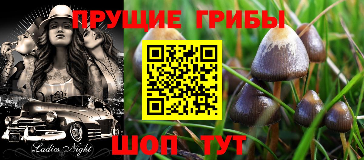 Псилоцибиновые грибы мицелий  Вход с VPN  Саранск 